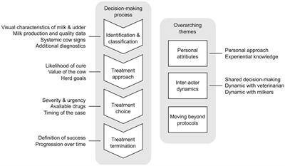 Dairy farmers’ considerations for antimicrobial treatment of clinical mastitis in British Columbia and Alberta, Canada